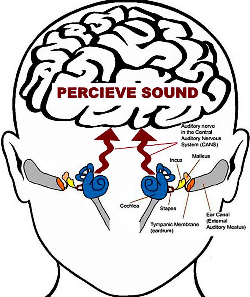 Auditory Processing Disorder